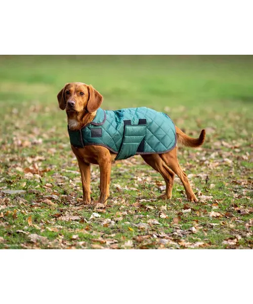 Digby & Fox Heritage Dog Coat