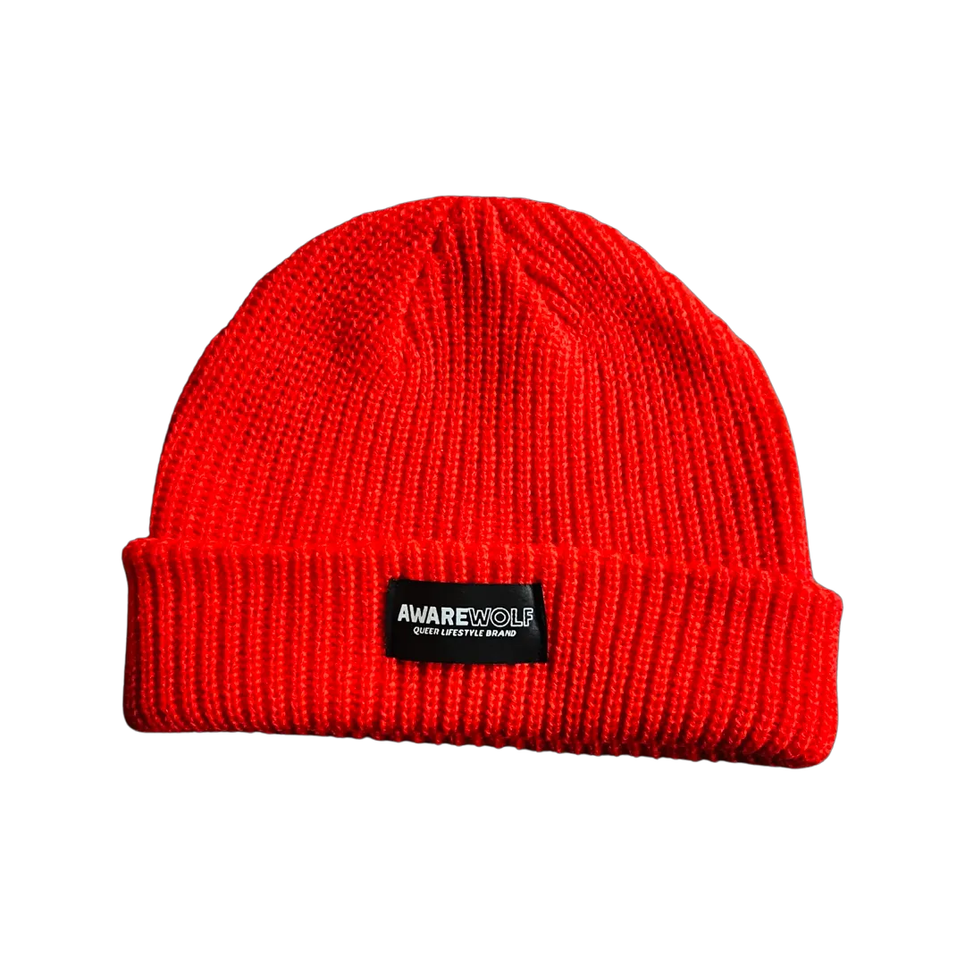 The Destiny Beanie