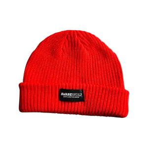 The Destiny Beanie